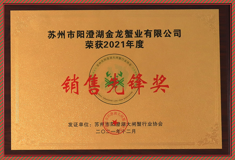 銷售先鋒獎(jiǎng)